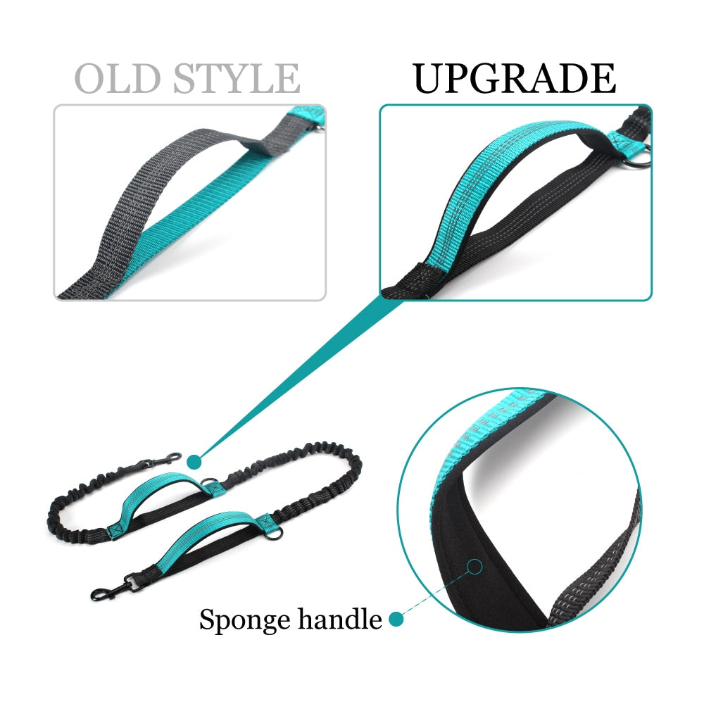 Dog Bungee Leash