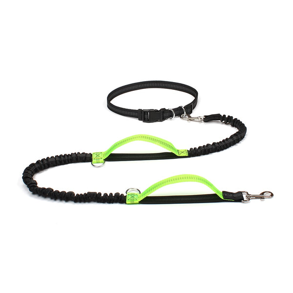 Dog Bungee Leash