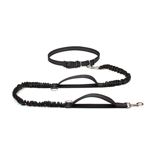 Dog Bungee Leash